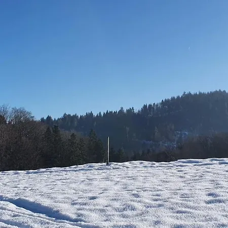Wohnung Im Schwarzwald Mit Panorama Blick Kleines Wiesental Buitenkant foto