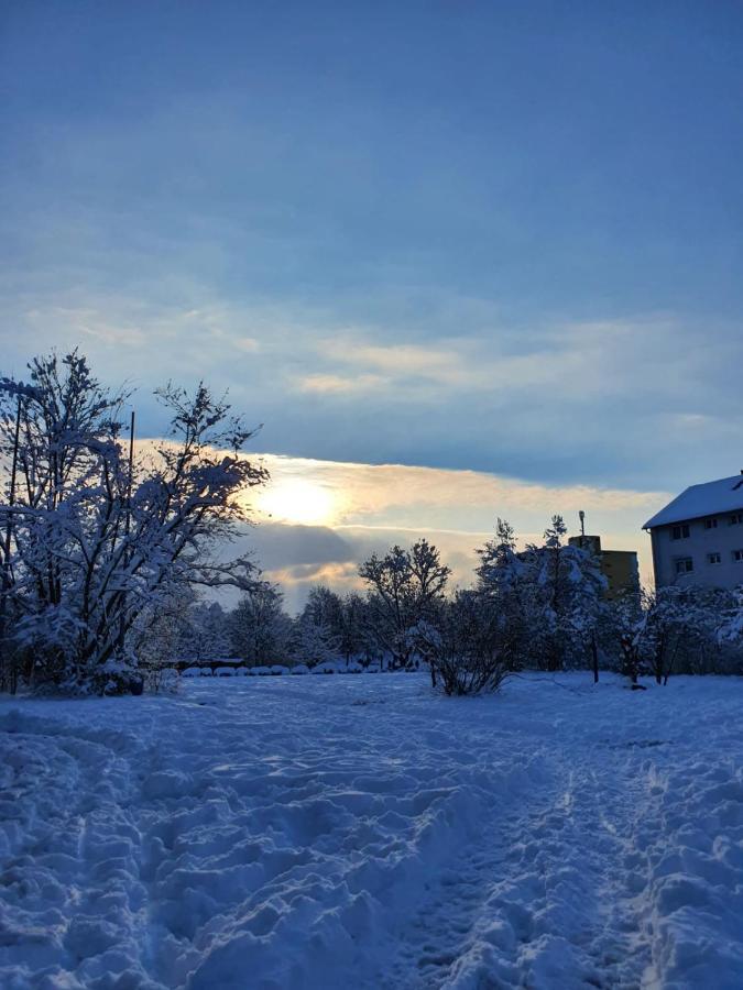 Im Schwarzwald Mit Panorama Blick *