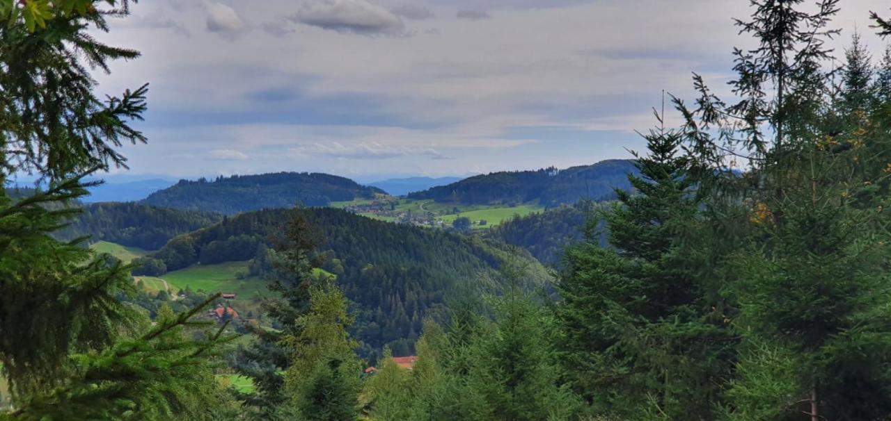 Im Schwarzwald Mit Panorama Blick Apartment Kleines Wiesental