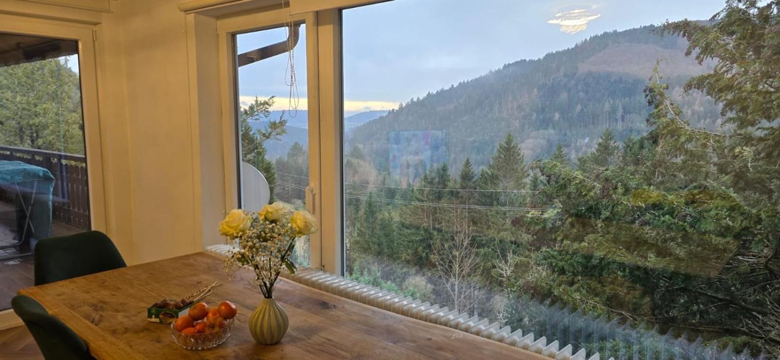 Im Schwarzwald Mit Panorama Blick Apartment