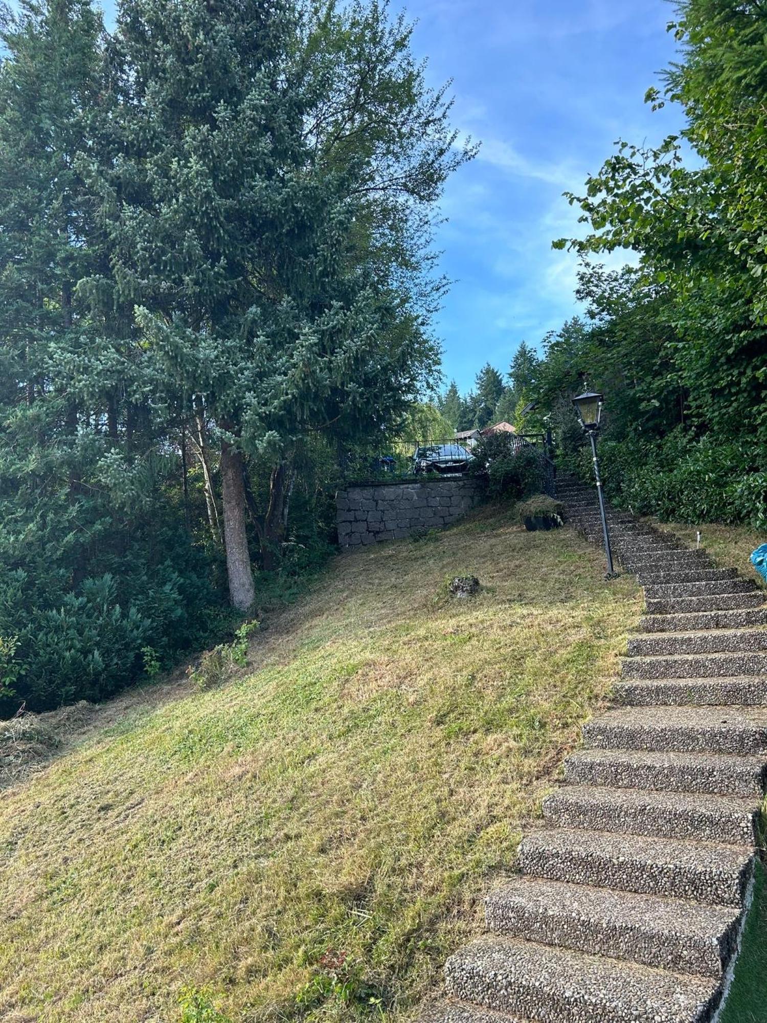 Apartment Im Schwarzwald Mit Panorama Blick *
